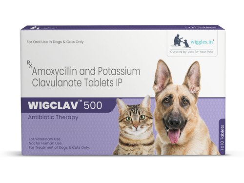 Wiggles : Wigclav 500mg Antibiotic Tablets for Dogs & Cats