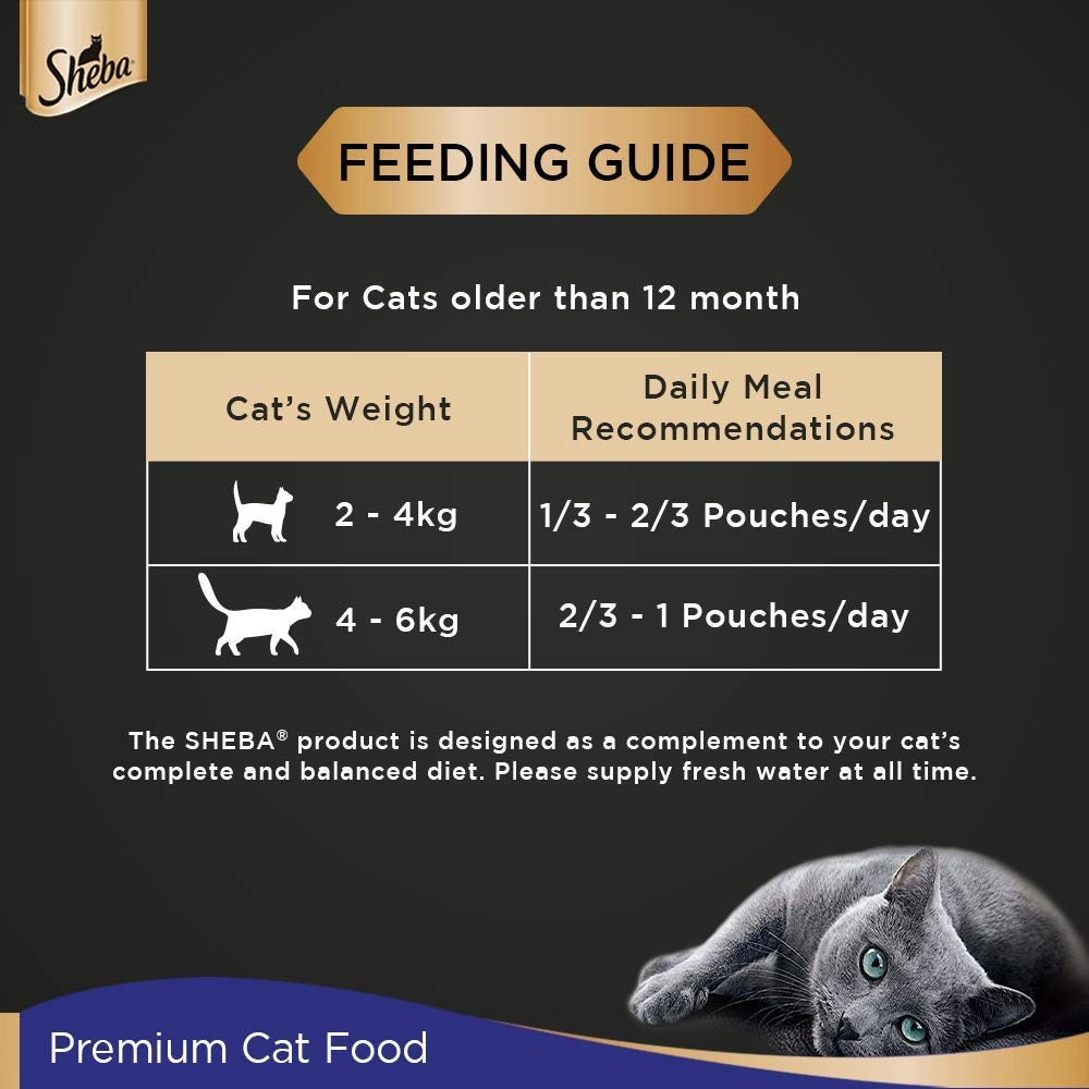 Sheba Chicken Premium Loaf Cat Pouch 70 G (Pack Of 12) - Ecom Pack