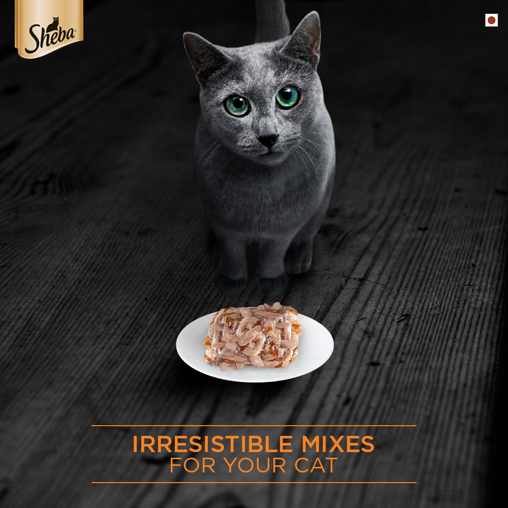 Sheba Succulent Chicken Breast In Gravy Cat Tin