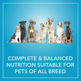 Purepet Chicken & Vegetable Adult Dog Dry Food