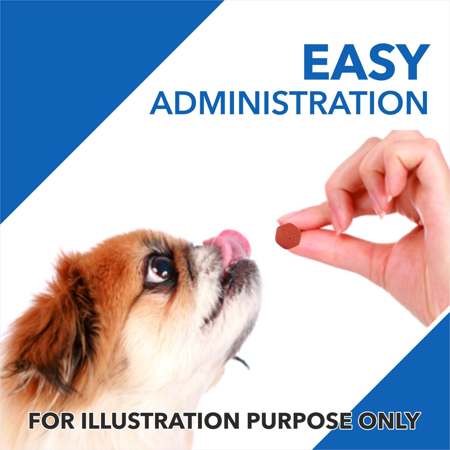 Drools Absolute Vitamin Chewable Tablet