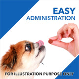 Drools Absolute Vitamin Chewable Tablet