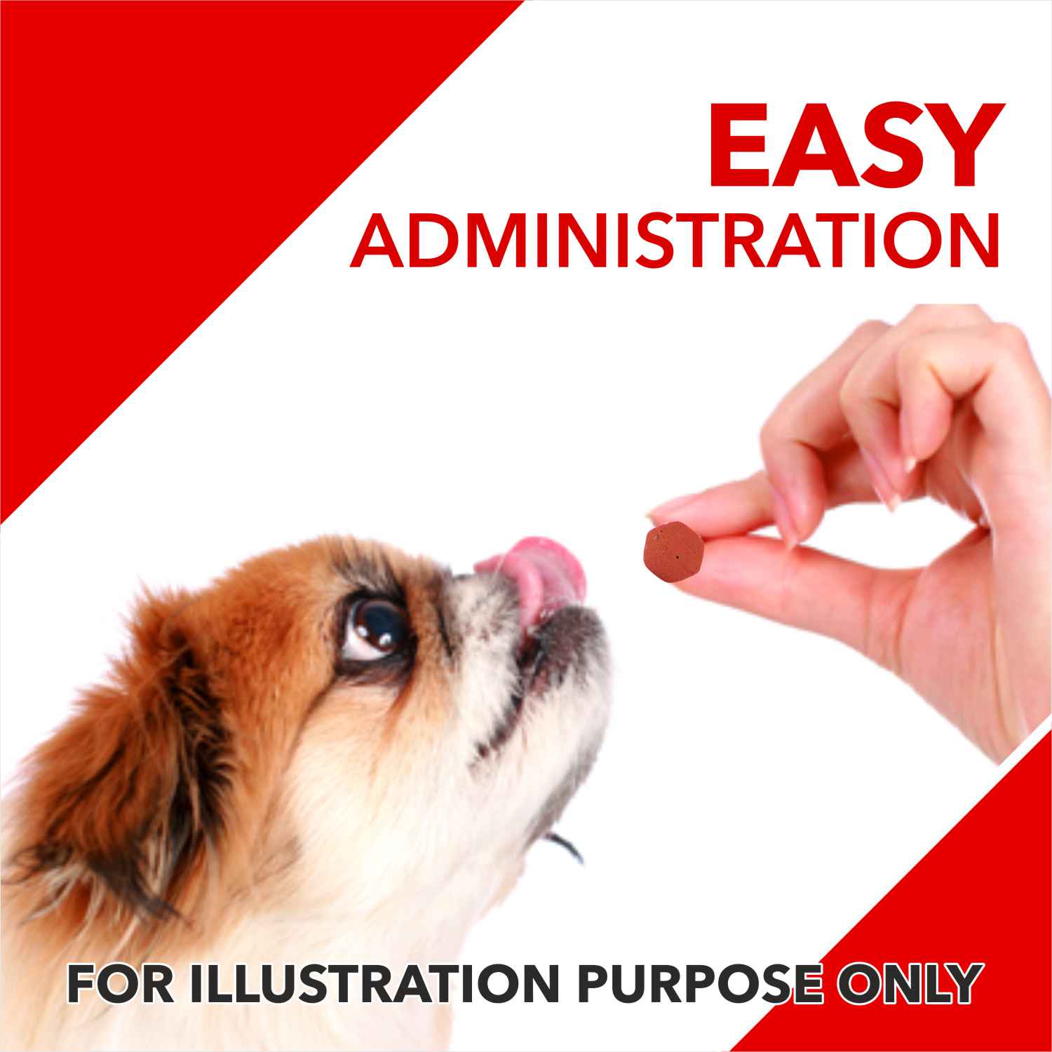 Drools Absolute Calcium Chewable Tablet for Pets