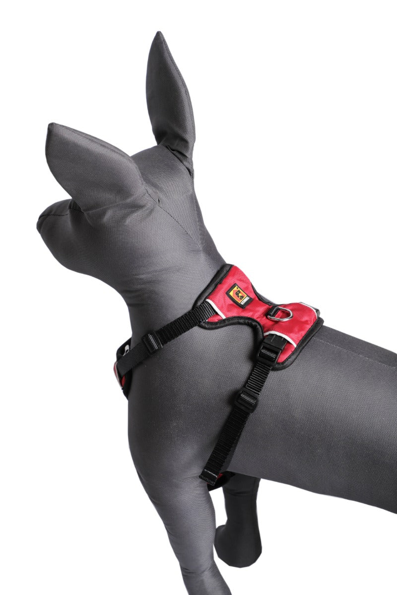 Kennel Full Body Harness (X Large - 34")