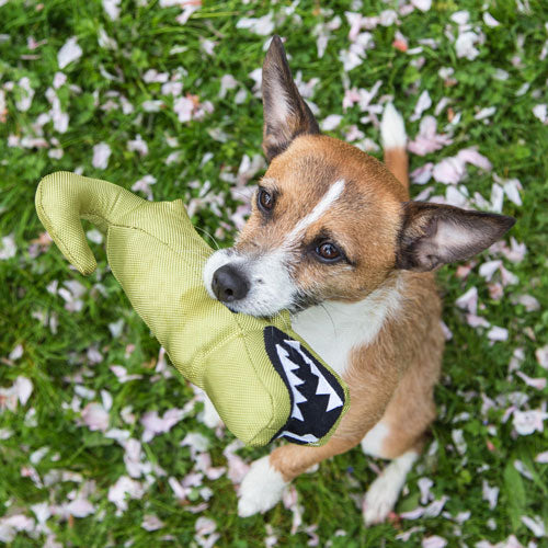 BecoPets - Aretha the Cuddly Alligator Soft Toy