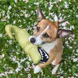 BecoPets - Aretha the Cuddly Alligator Soft Toy