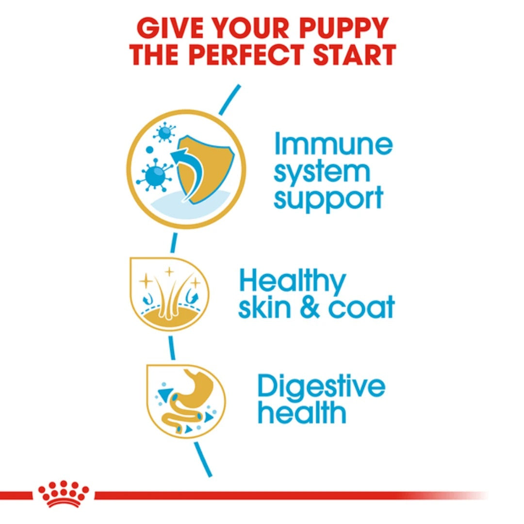 Royal Canin Shih-Tzu Puppy Dry Food