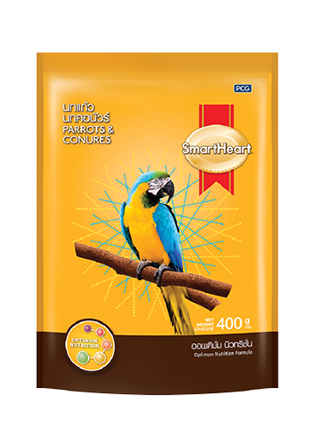 Smart Heart Parrorts & Counres Food