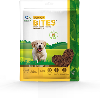 Natural Remedies Immunity Bites Health Treats -Milk Flavour Pack of 6