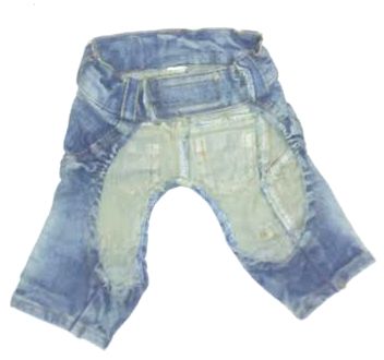 Canes Venatici Denim Pant