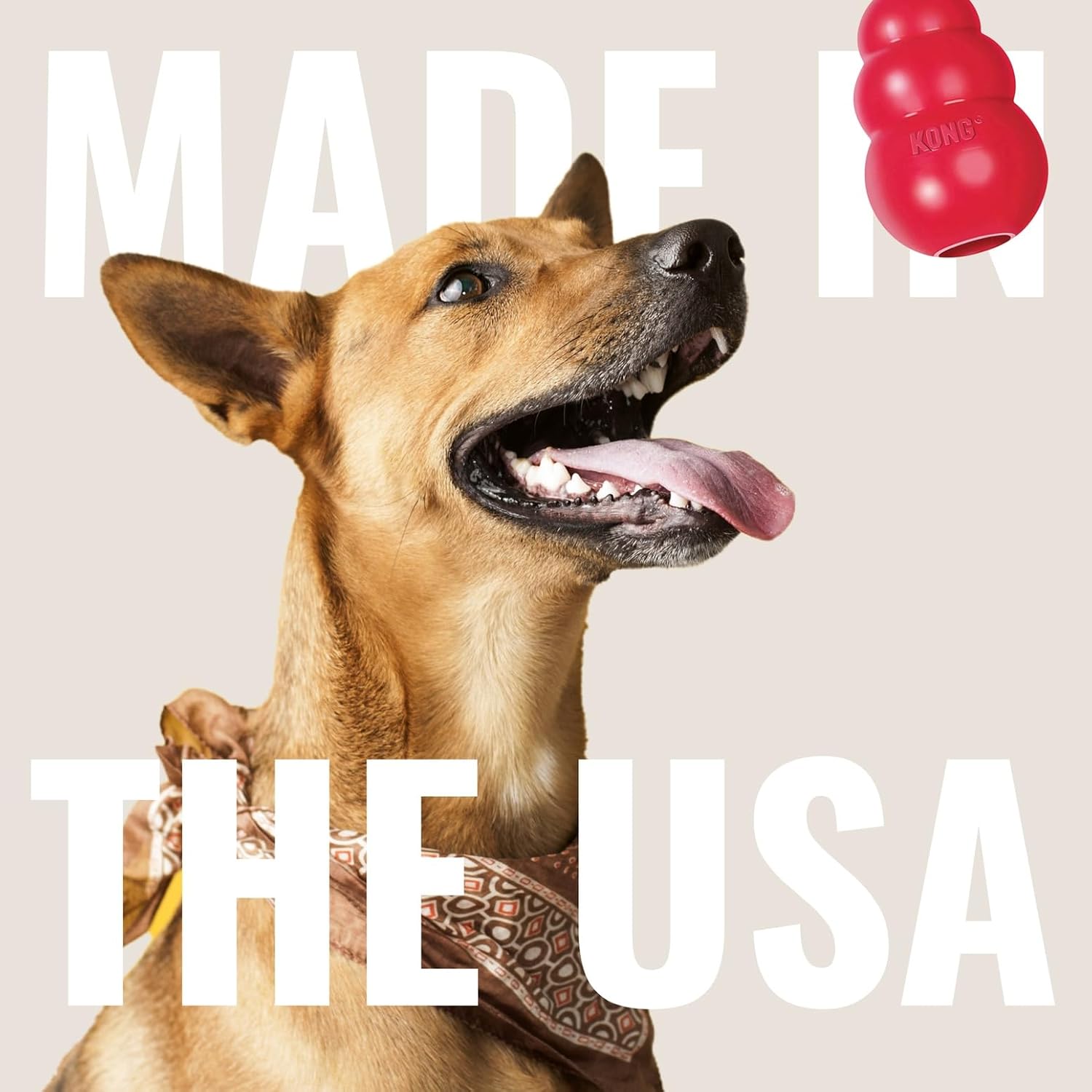 KONG Dental Stick Interactive Rubber Dental Chew Toy for Dogs (Small Size)