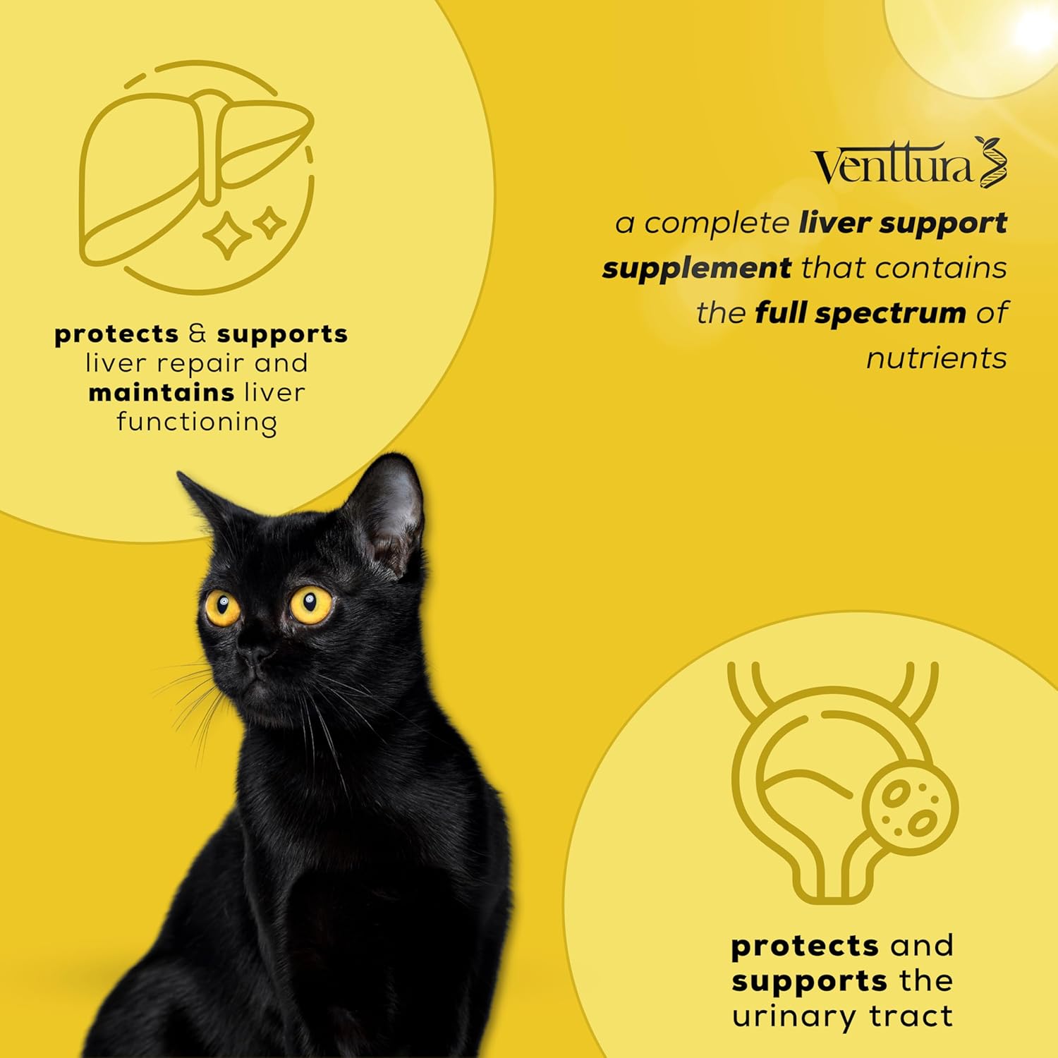 Venttura Livo+ Liver & Urinary Support Supplement for Cats