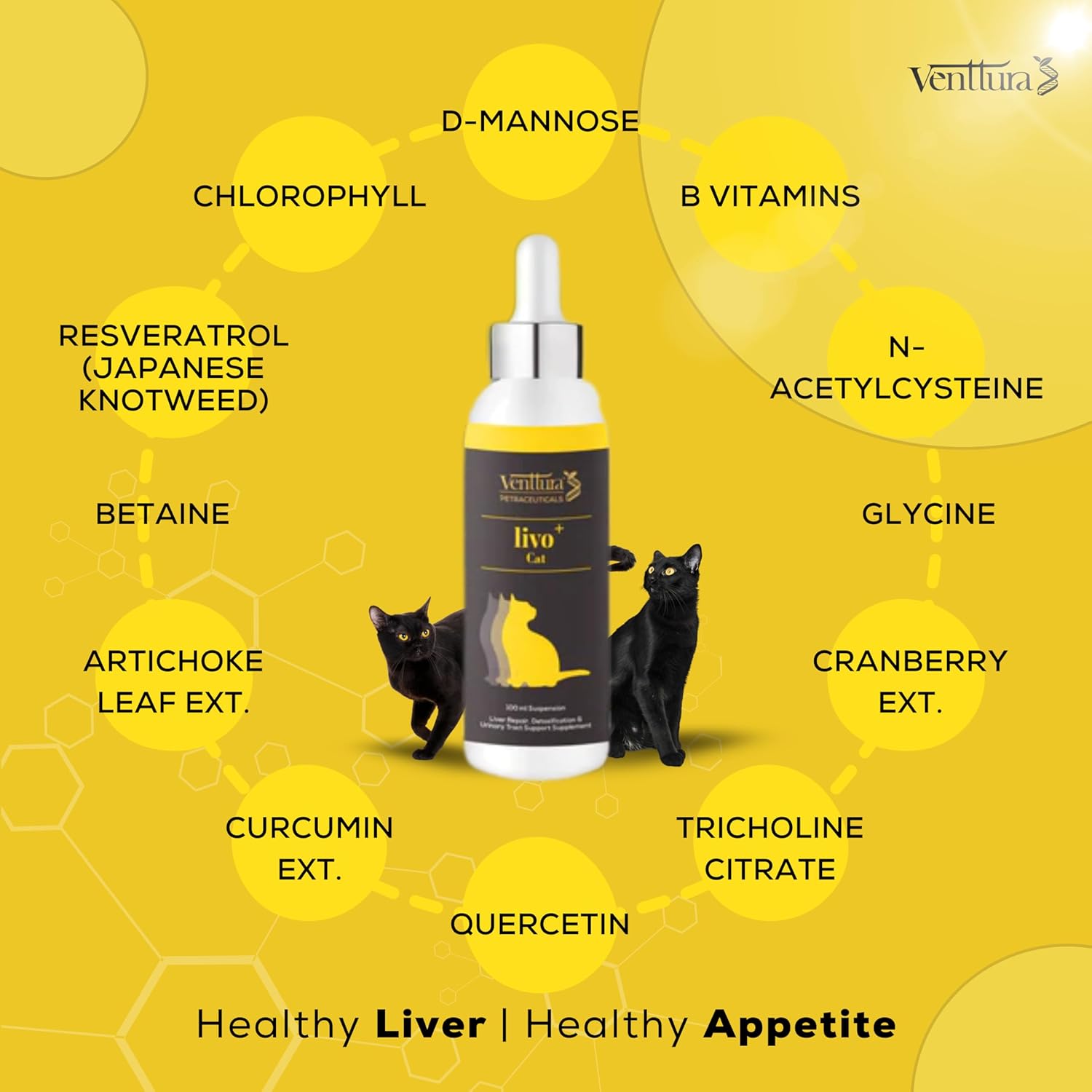 Venttura Livo+ Liver & Urinary Support Supplement for Cats