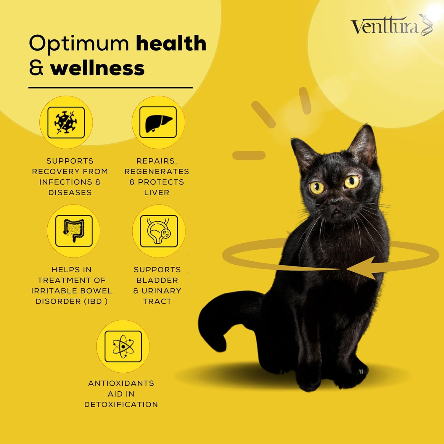 Venttura Livo+ Liver & Urinary Support Supplement for Cats