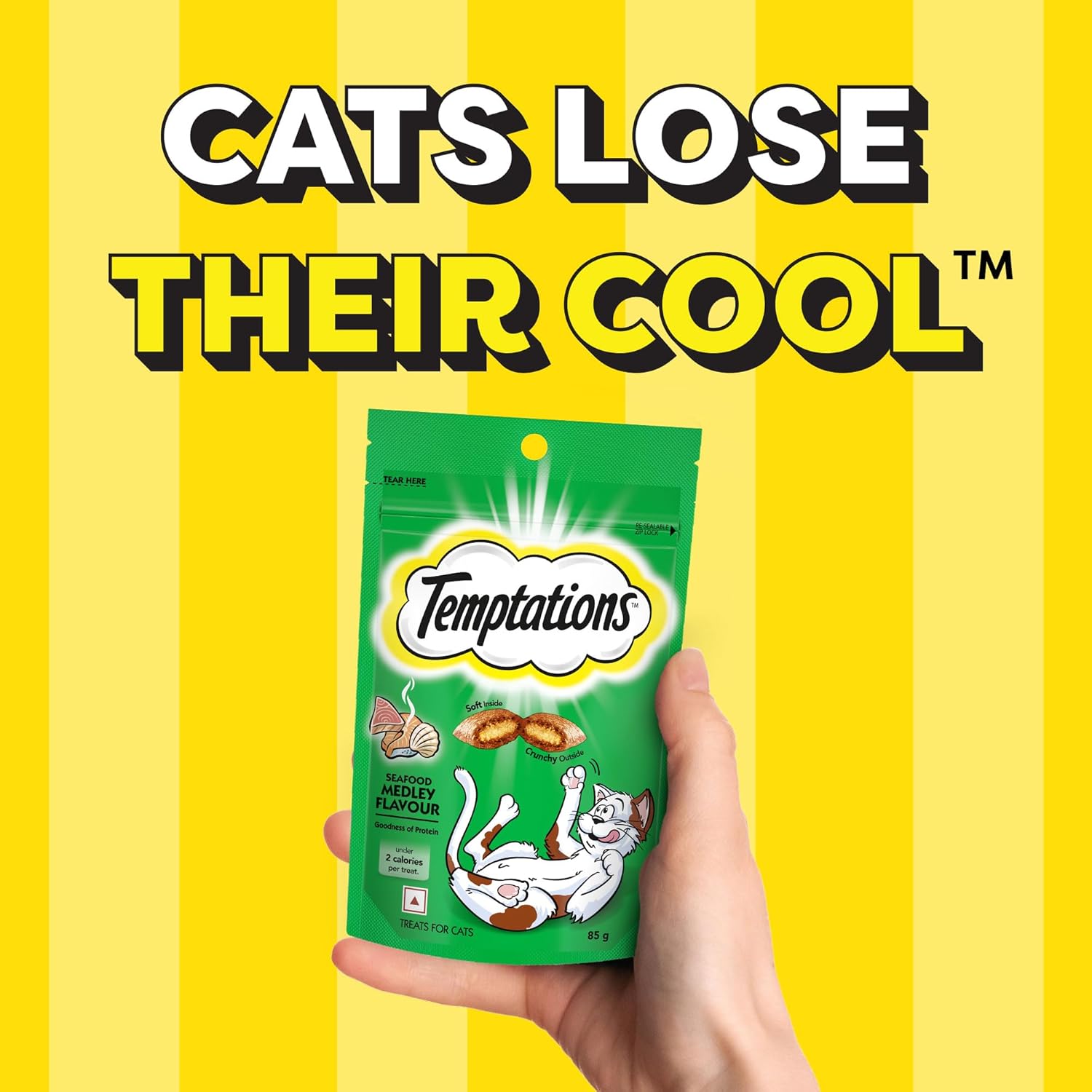 Temptations : Seafood Medley Flavor Cat Treats