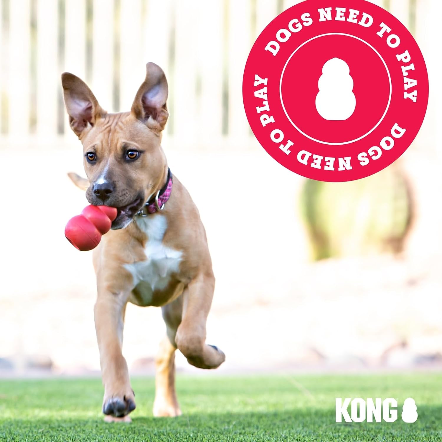 KONG Dental Stick Interactive Rubber Dental Chew Toy for Dogs (Small Size)