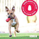 KONG Dental Stick Interactive Rubber Dental Chew Toy for Dogs (Small Size)