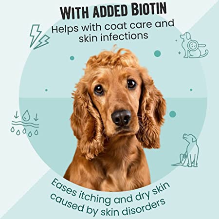 Vivaldis Bark Out Loud Grain Free Mini Fishes Dog Treat