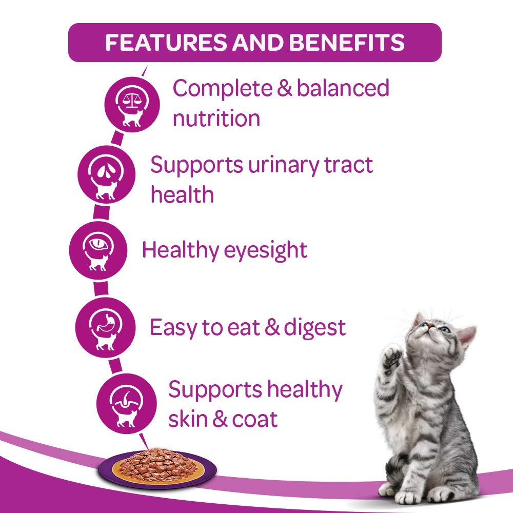 Whiskas Salmon In Gravy Adult Cat Pouch