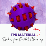 Basil Spike Squeaky Ball Dog Toy