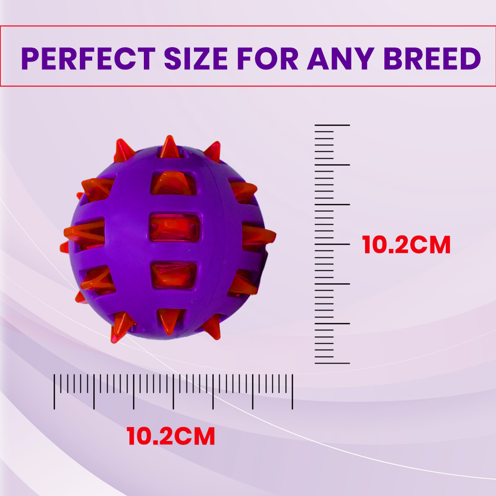 Basil Spike Squeaky Ball Dog Toy