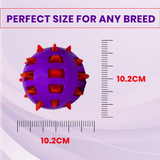 Basil Spike Squeaky Ball Dog Toy