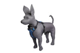Kennel Full Body Harness (X Large - 34")