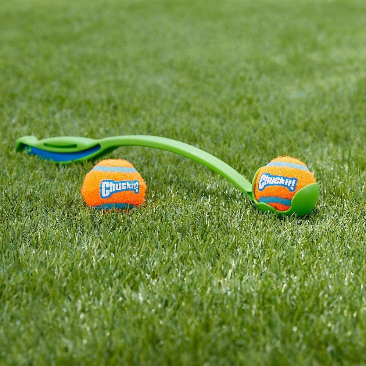 Chuckit Tennis Ball 2-PK Toy For Dogs