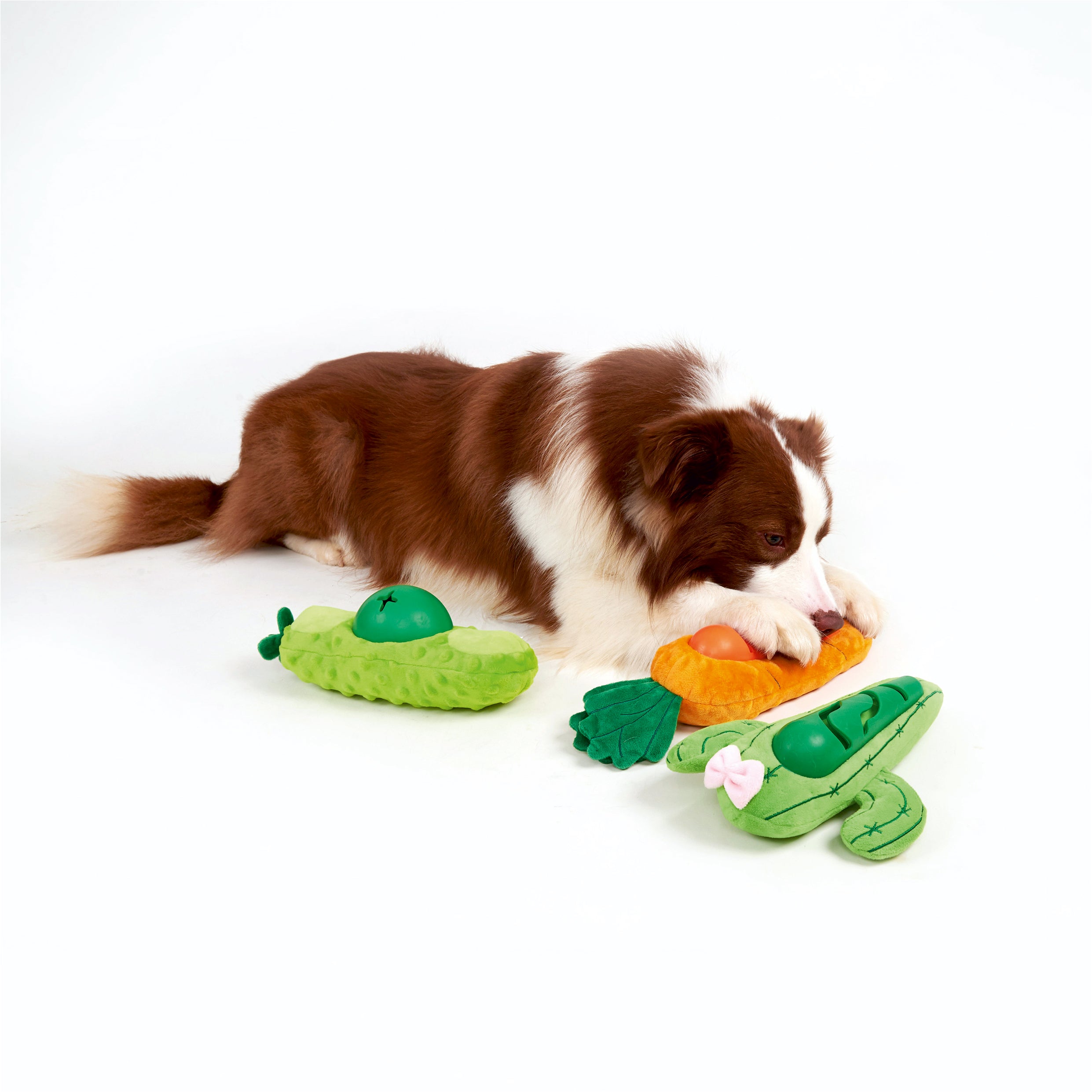 Fofos Cute Treat & Squeak Dog Toy