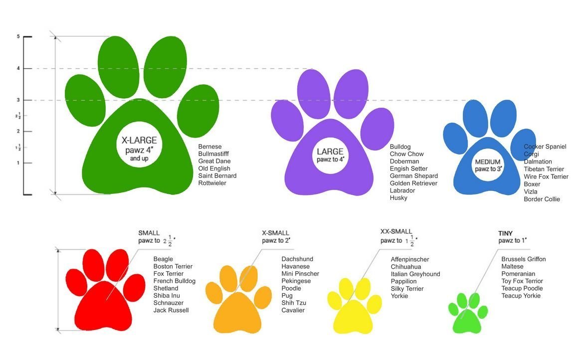 Pawz Waterproof Dog Boots - Large - Purple