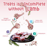 NOVEE : Hearty Jerky Size Mini (Lamb Flavor) Dog Treats