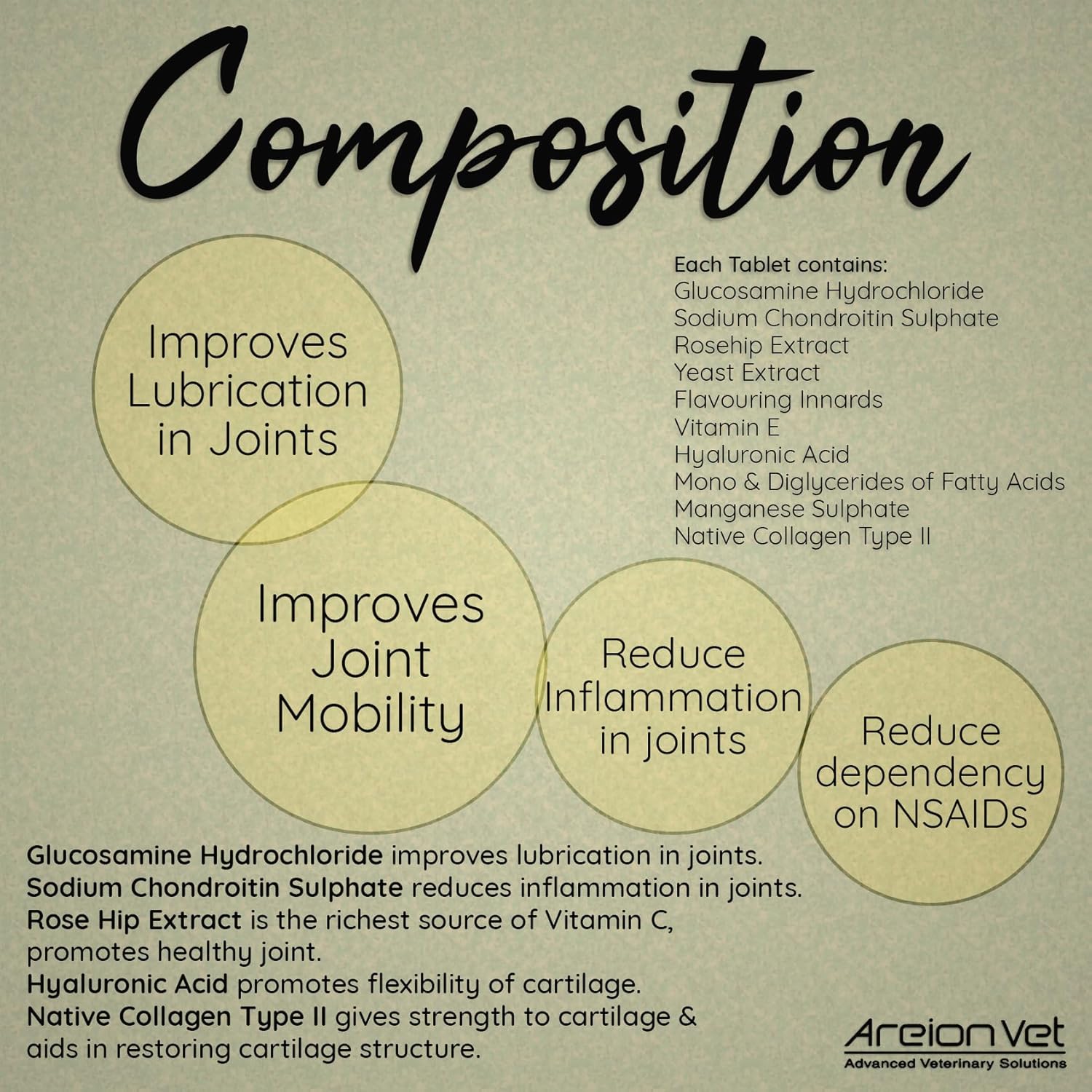 Areion Vet - GeriSure Forte Pala Tab - Enhanced Mobility and Joint Health