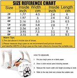 Pawz Waterproof Dog Boots - Large - Black