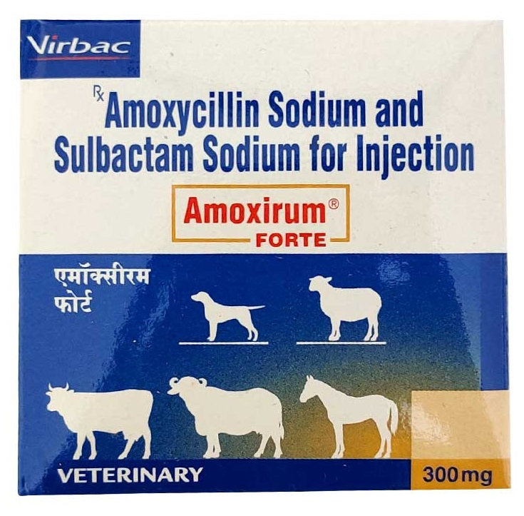 Virbac : Amoxirum Forte 300mg – Amoxycillin & Sulbactam Injection for Animals