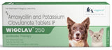 Wiggles : Wigclav 250 Antibiotic Tablets for Dogs & Cats
