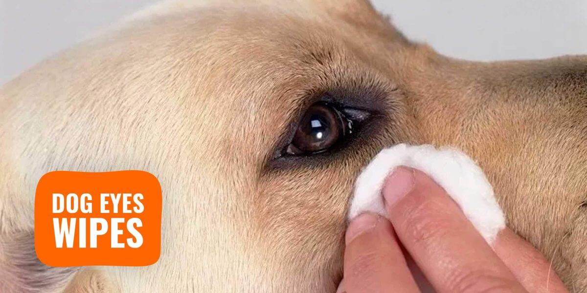 Petkin - Jumbo Eye Wipes
