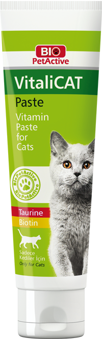 Bio Petactive: VitaliCAT Vitamin Paste For Cats - Taurine & Biotin Supplement
