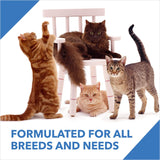 Drools Cat - Kitten Ocean Fish