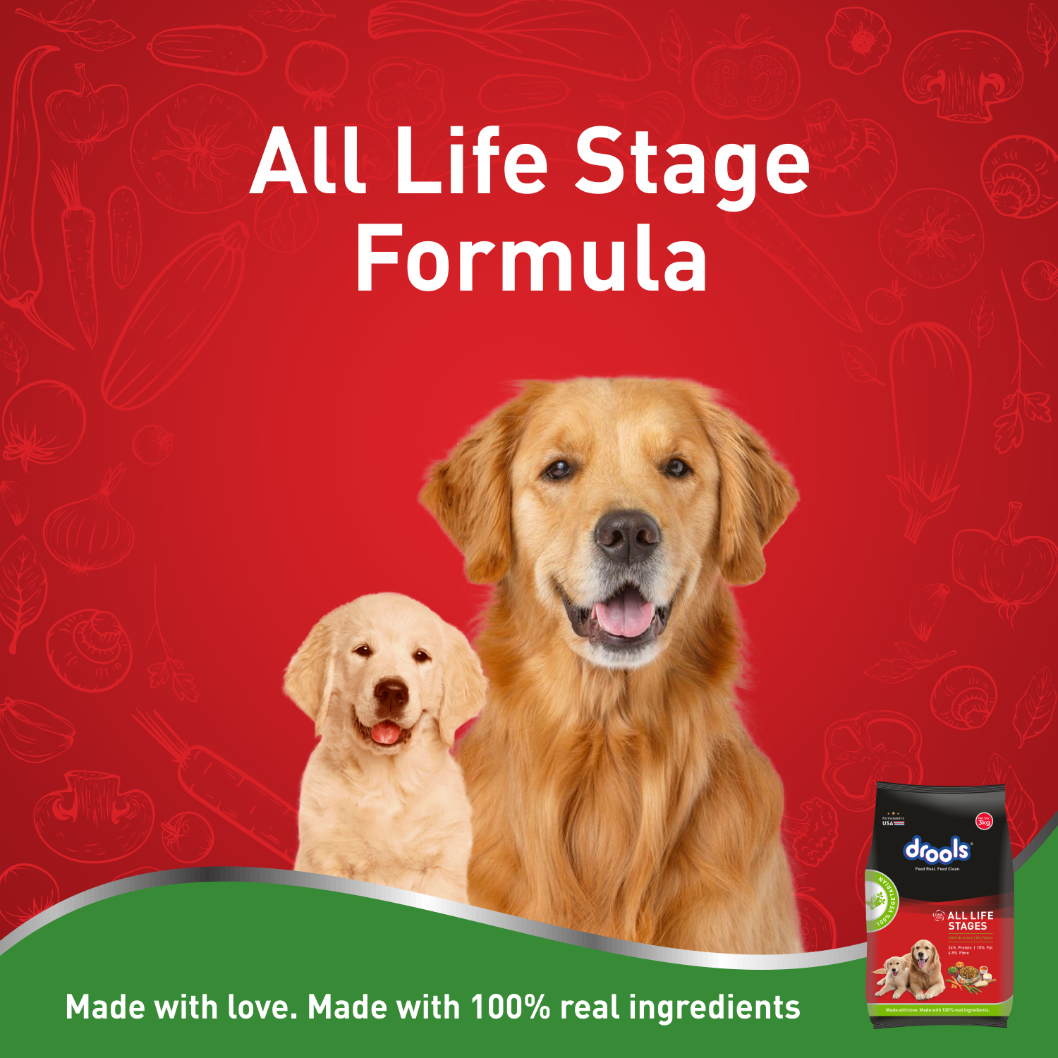 Drools All Life Stages 100% Vegetarian Dog Dry Food