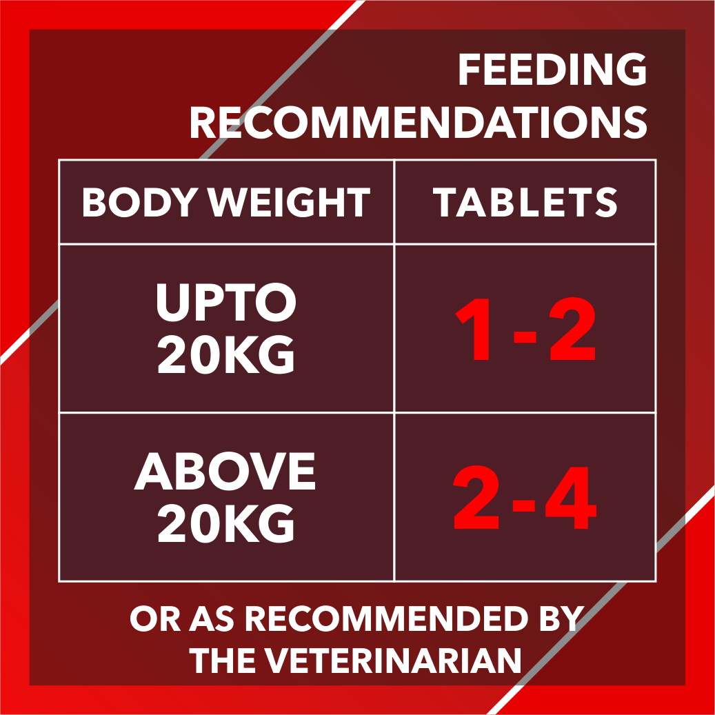 Drools Absolute Calcium Chewable Tablet for Pets