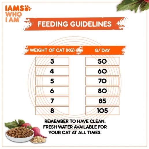 IAMS Proactive Health Healthy Adult With Chicken Dry Food For Cats