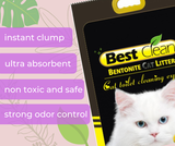 Best Clean Bentonite Cat Litter