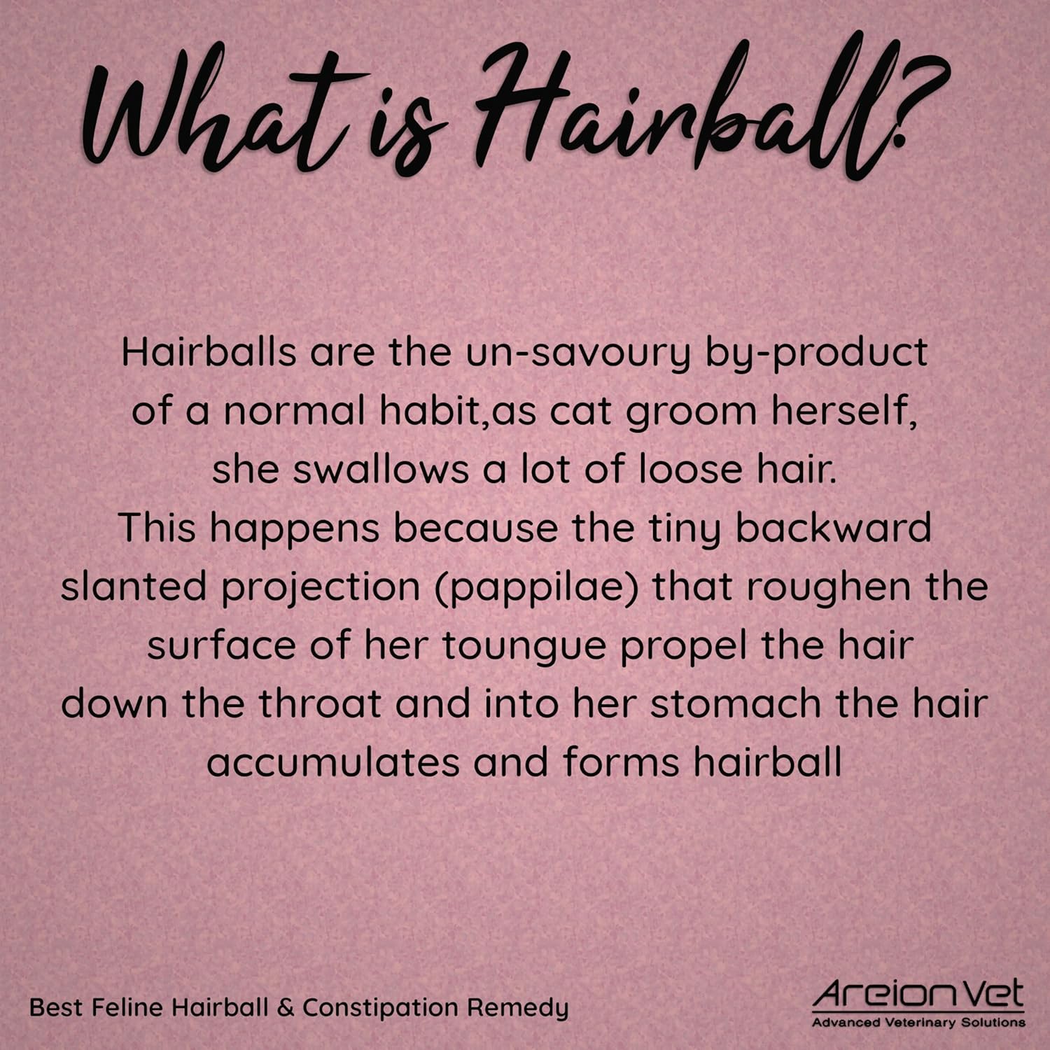 Areion Vet - Feli-Lax - Natural Laxative Hairball Remedy for Cats - Tuna Flavor