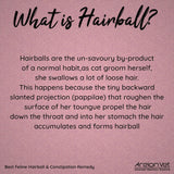 Areion Vet - Feli-Lax - Natural Laxative Hairball Remedy for Cats - Tuna Flavor