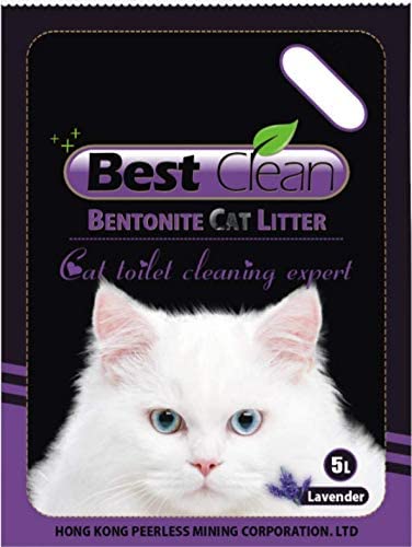 Best Clean Bentonite Cat Litter
