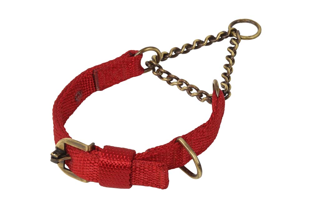 Kennel Premium Nylon Brass Chain Martingale Collar No.1(4mm)(1 1/4")