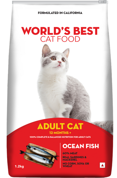 Best fish for cats to watch best sale