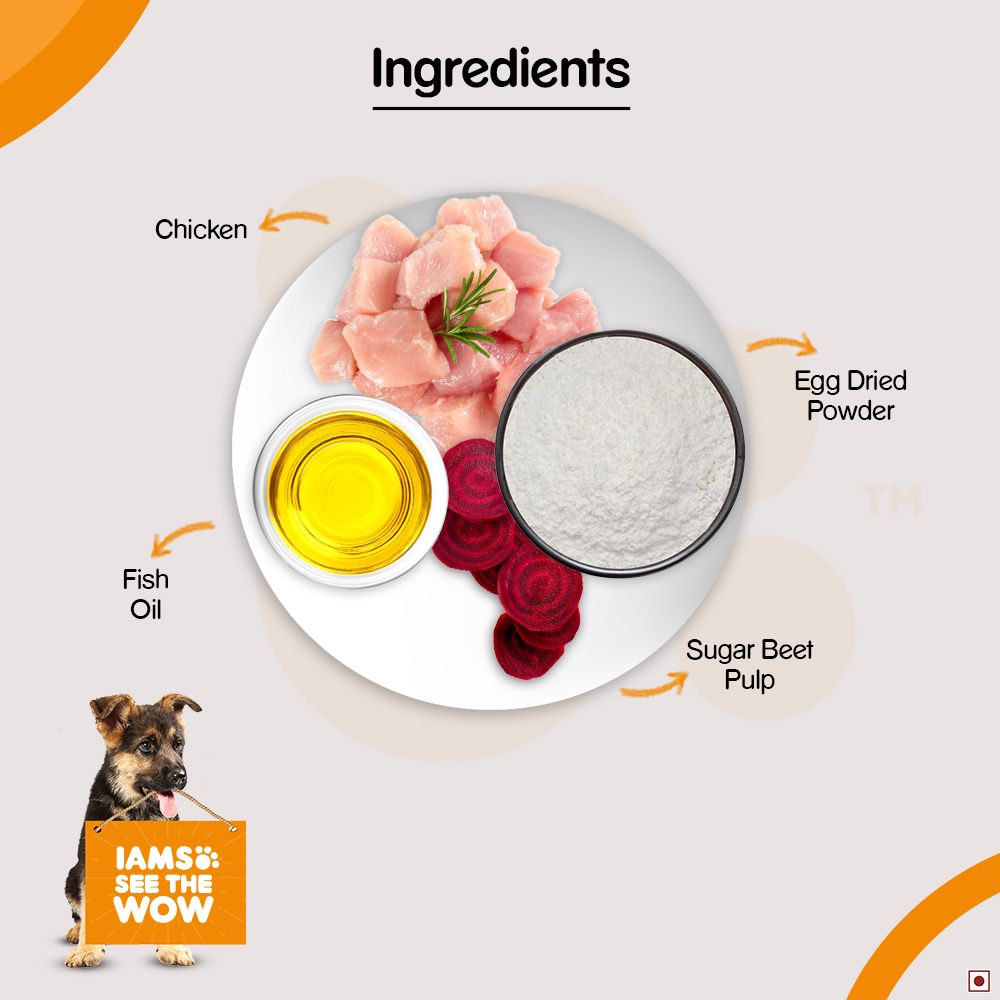 IAMS Proactive Health Large Breed Smart Puppy Food