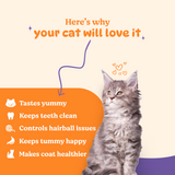 Basil Tuna & Cranberry Purrfect Dental Sticks Treat For Cat