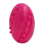 Kennel Rugby Treat Dog Toy